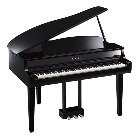 Digital Pianos .